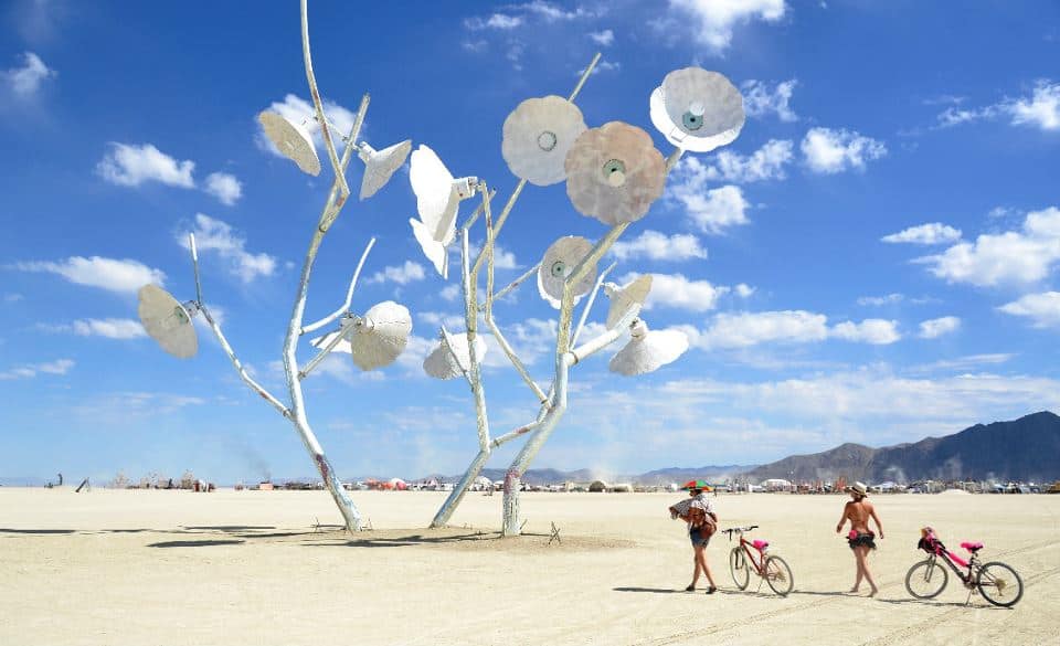 BurningMan2