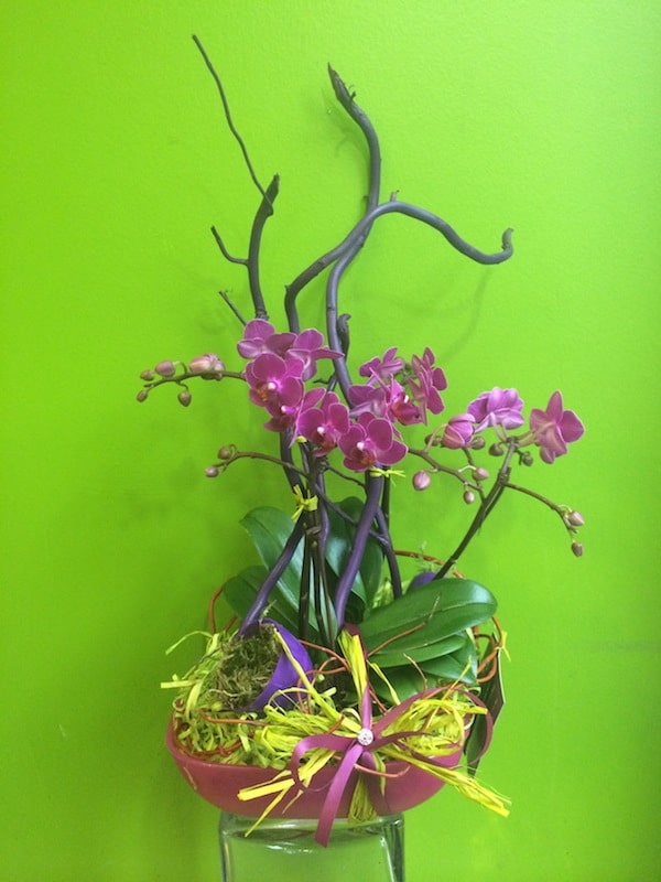 Heathers-flower-shop-gastown