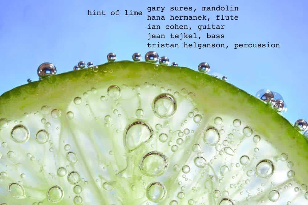 Hint-of-Lime