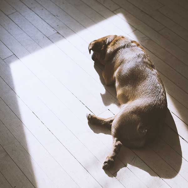 MarchGram-3