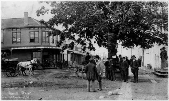 TBT-1093.jpg - Maple Tree Square