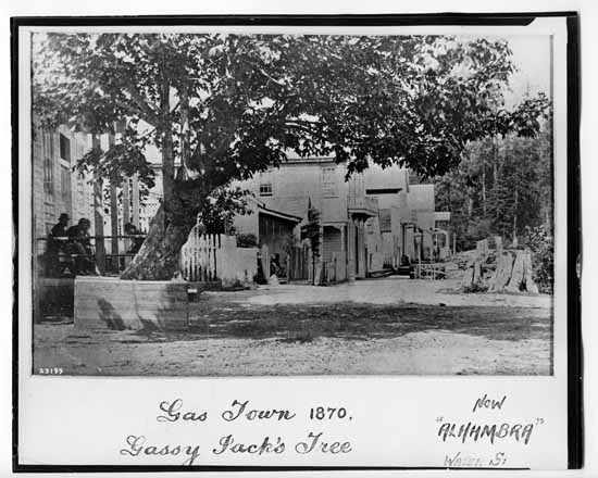 TBT-24322.jpg - Gassty Jacks Tree