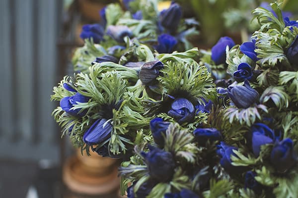WeddingFl-blue1