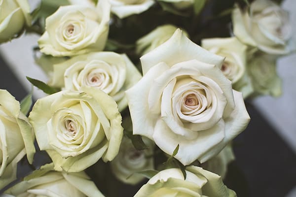 WeddingFl-roses