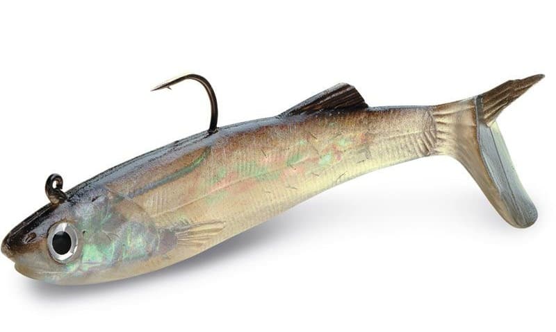 army navy bait gastown