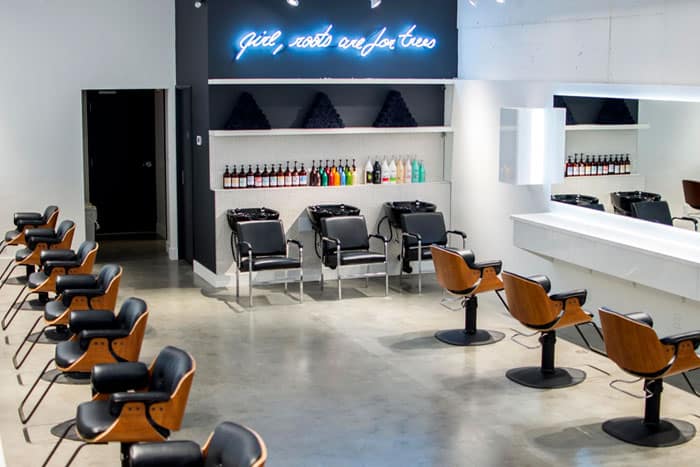 grooming-brushhairsalon4