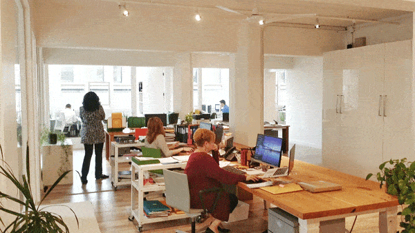segev-office